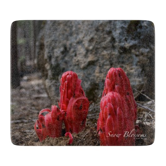 雪 カッティングボード (正面)