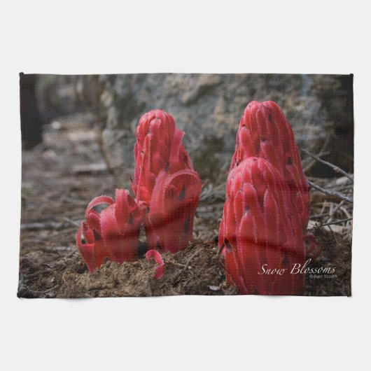 雪 キッチンタオル (横)