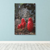 雪 キャンバスプリント (インサイチュ (ウッドフロア))