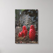 雪 キャンバスプリント (正面)