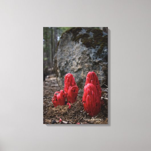 雪 キャンバスプリント (正面)