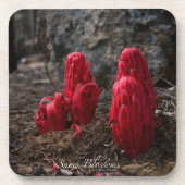 雪 コースター (正面)