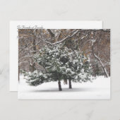 雪 シーズンポストカード (正面/裏面)