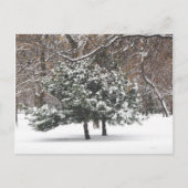 雪 シーズンポストカード (正面)
