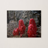 雪 ジグソーパズル (横)