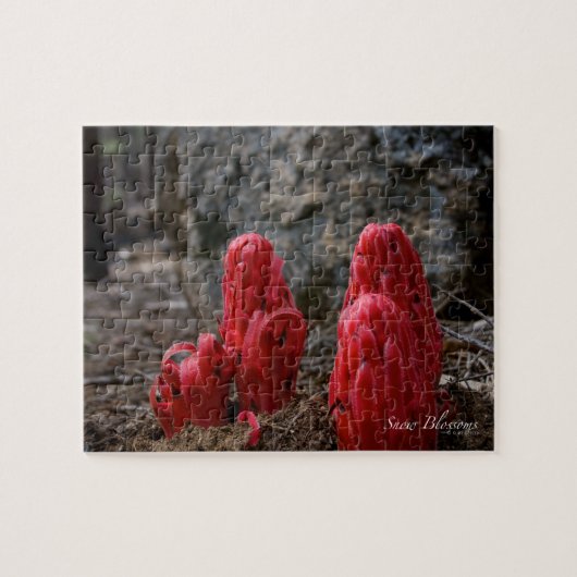 雪 ジグソーパズル (横)