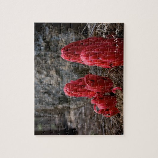 雪 ジグソーパズル (縦)