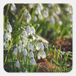 雪 スクエアシール