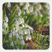 雪 スクエアシール (正面)