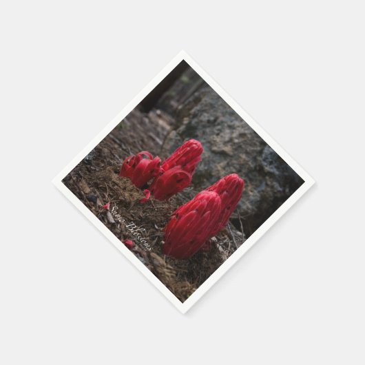 雪 スタンダードカクテルナプキン (角)