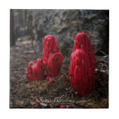 雪 タイル (正面)