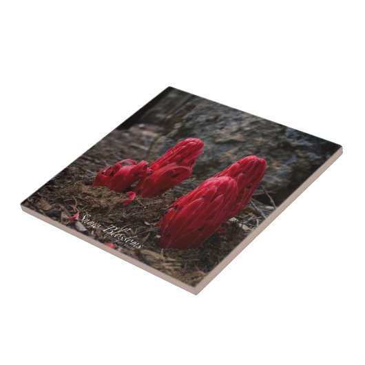 雪 タイル (側面)