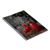 雪 ノートブック (右側)