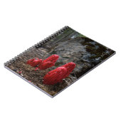 雪 ノートブック (左側)