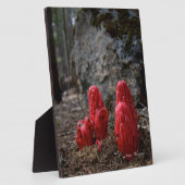 雪 フォトプラーク (側面)