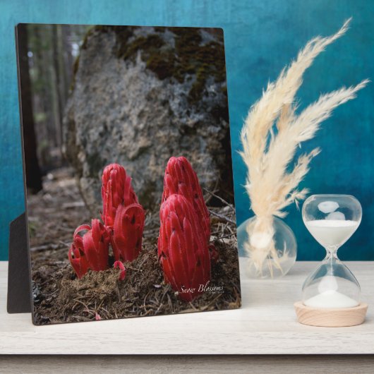 雪 フォトプラーク (側面)