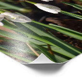 雪 フォトプリント            (角)