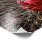 雪 フォトプリント            (角)