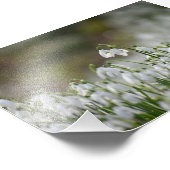 雪 フォトプリント            (角)