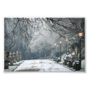 雪 フォトプリント