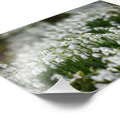 雪 フォトプリント            (角)