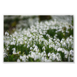 雪 フォトプリント           