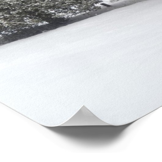 雪 – ポスター (角)