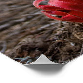 雪 ポスター (角)