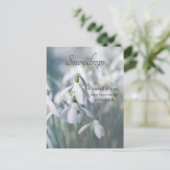 雪 ポストカード (スタンド正面)