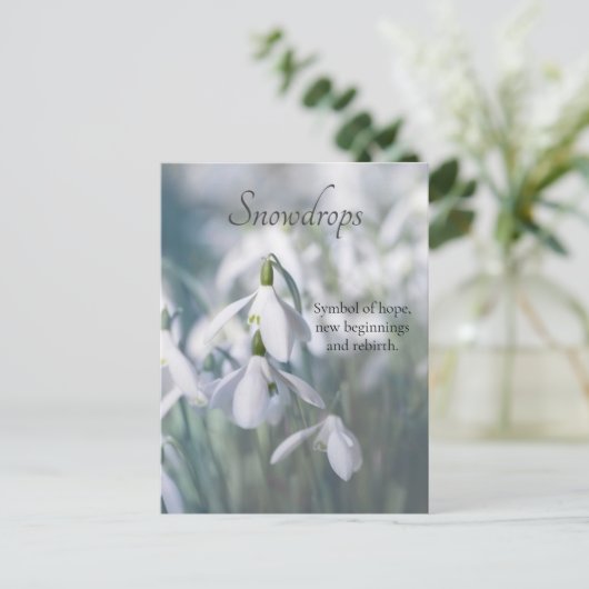 雪 ポストカード (スタンド正面)