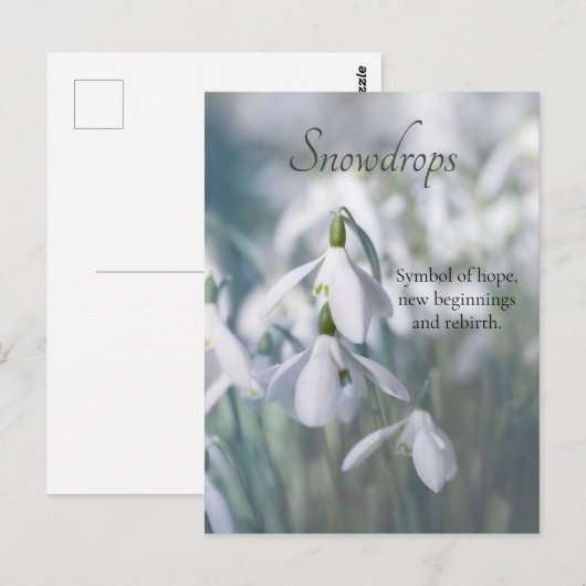 雪 ポストカード (正面/裏面)