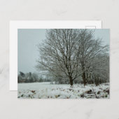 雪 ポストカード (正面/裏面)