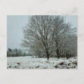 雪 ポストカード (正面)