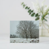 雪 ポストカード (スタンド正面)