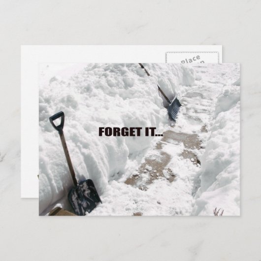 雪 ポストカード (正面/裏面)