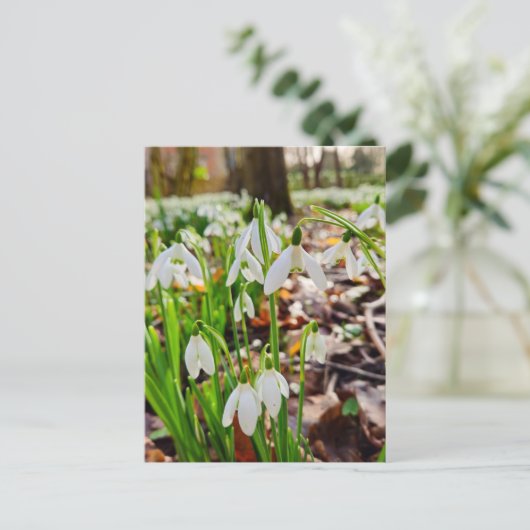 雪 ポストカード (スタンド正面)