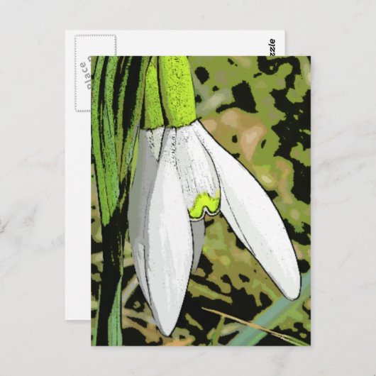 雪 ポストカード (正面/裏面)