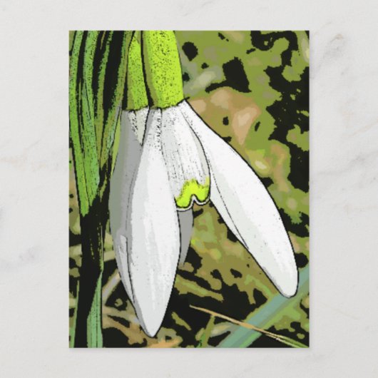 雪 ポストカード (正面)