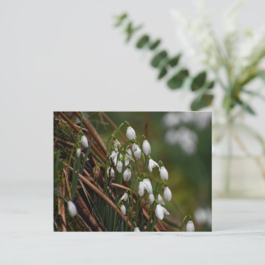 雪 ポストカード (スタンド正面)