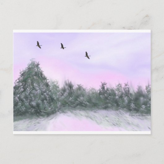 雪 ポストカード (正面)