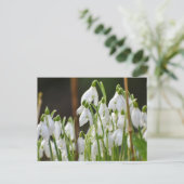 雪 ポストカード (スタンド正面)