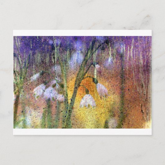 雪 ポストカード (正面)