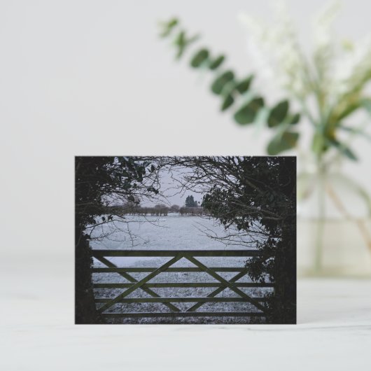 雪 ポストカード (スタンド正面)