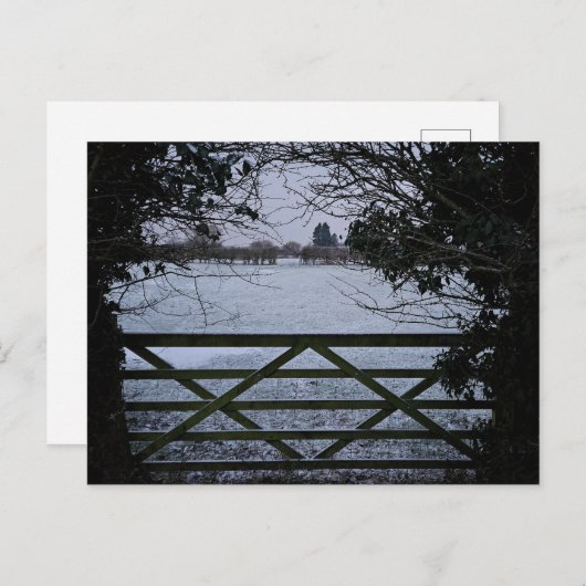 雪 ポストカード (正面/裏面)