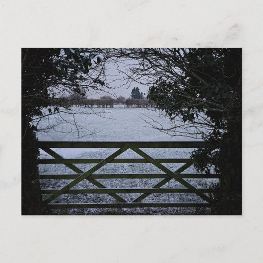 雪 ポストカード (正面)