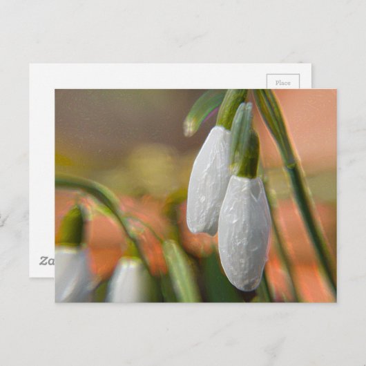 雪 ポストカード (正面/裏面)