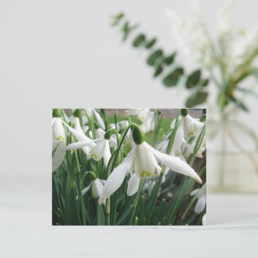 雪 ポストカード (スタンド正面)