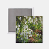 雪 マグネット (正面/裏面)