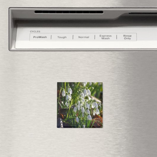 雪 マグネット (インサイチュ (食洗機))