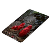 雪 マグネット (左側)